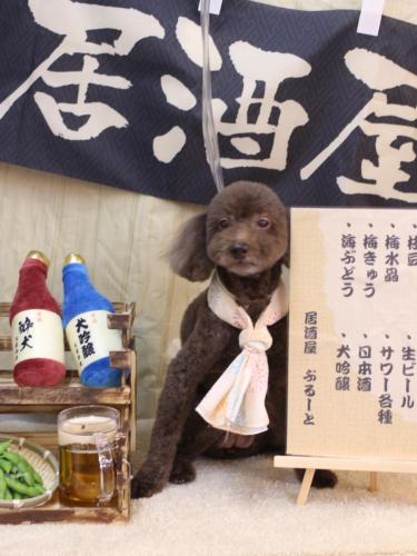 20240609杏ちゃん